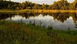 Farm Ponds